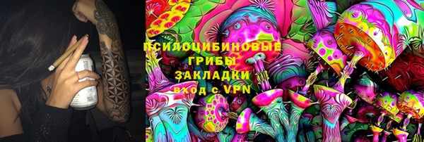 гашик Абаза