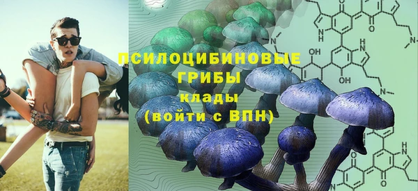 гашик Абаза