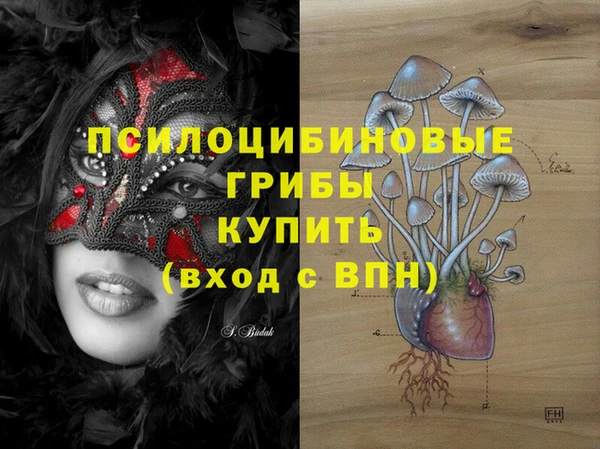 Альфа ПВП Алексин