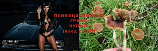МДПВ Алзамай