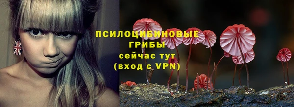 молекула духа Алексеевка