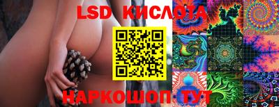 PSILOCYBIN Пугачёв
