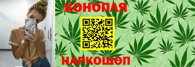 шишки Пенза