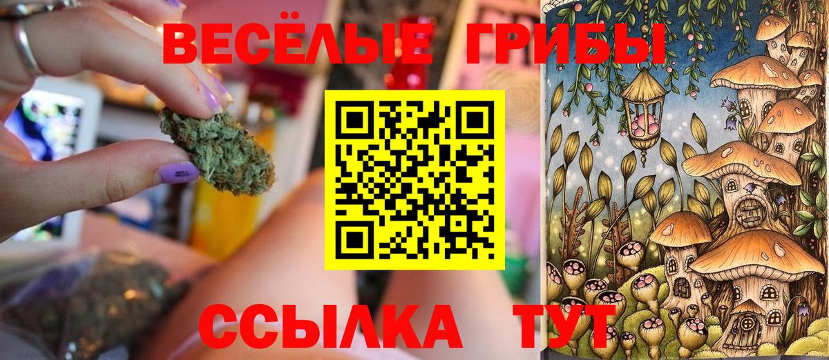 Нягань  Галлюциногенные грибы Magic Shrooms  Вход с VPN  Галлюциногенные грибы Cubensis 