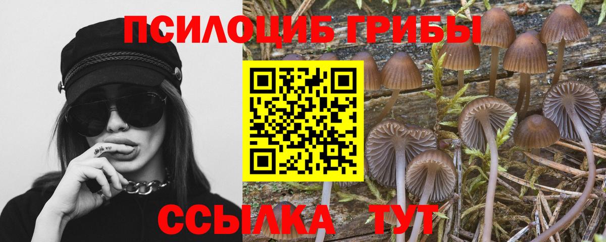 Галлюциногенные грибы прущие грибы Нягань